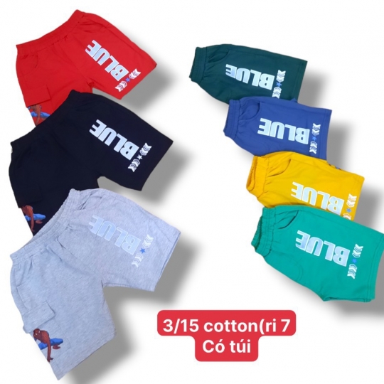 Lửng túi hộp (3-15)