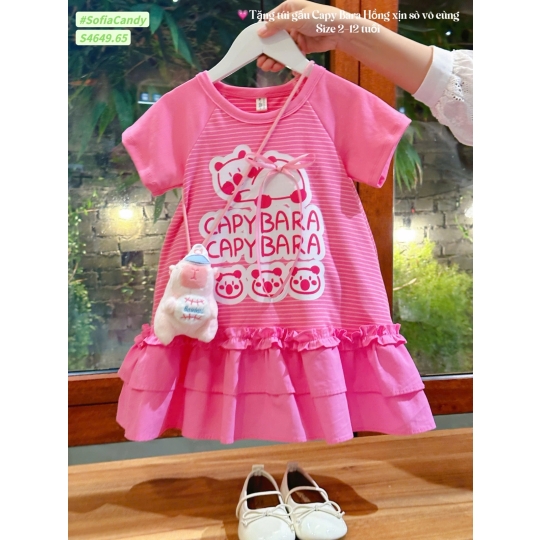 Đầm thiết kế Capybara + túi gấu (1-10)
